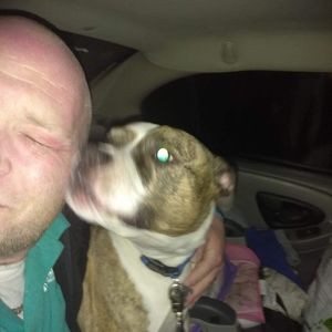 Meet your Posher, Joshua